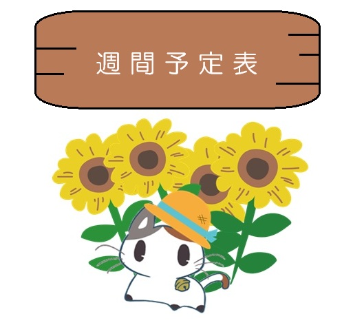 8/15現在の利用者状況